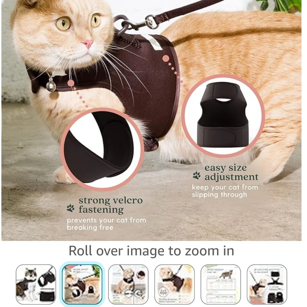 Large brown cat harness,collar and leash (7)